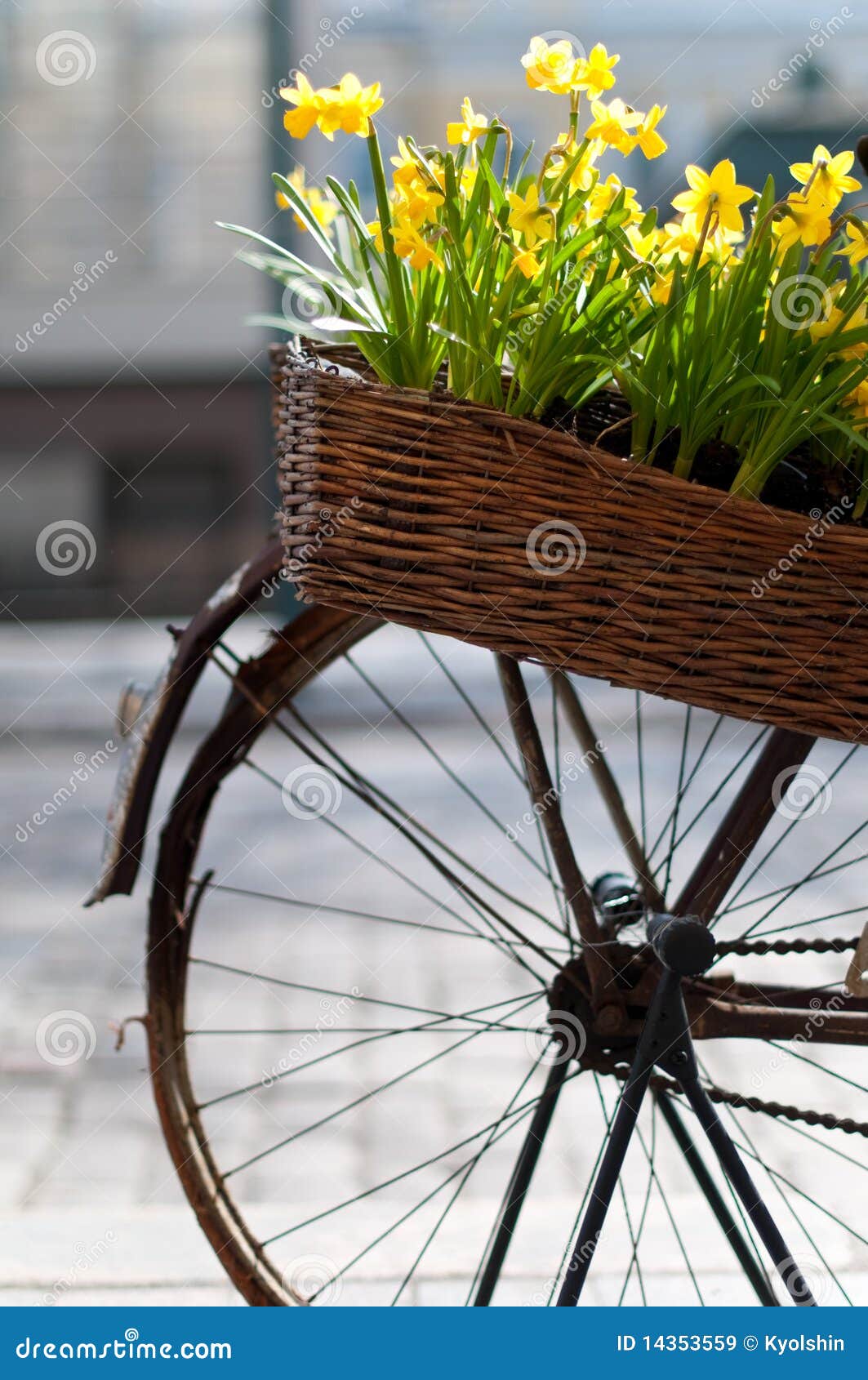 images bicyclette dans les fleurs