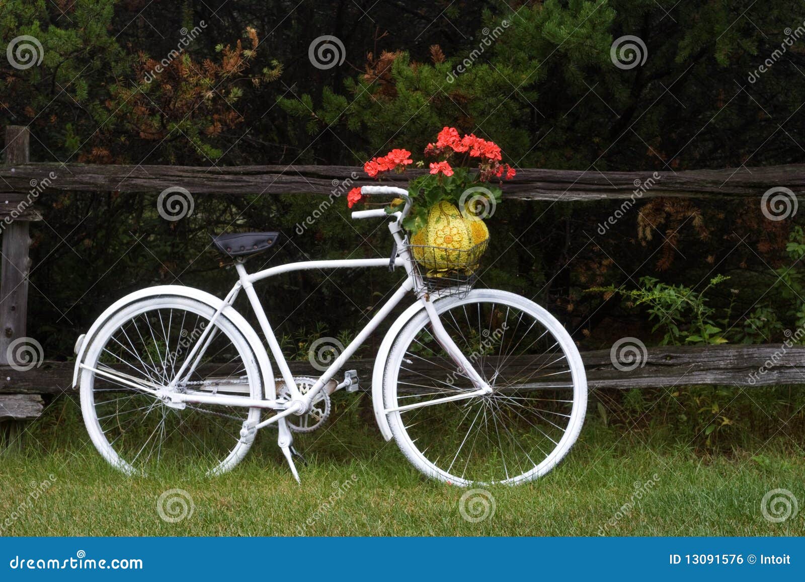 images bicyclette dans les fleurs