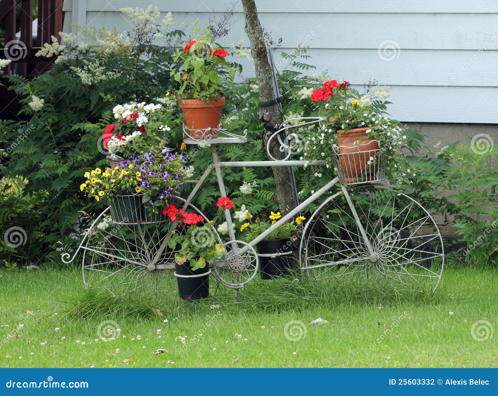 images bicyclette dans les fleurs