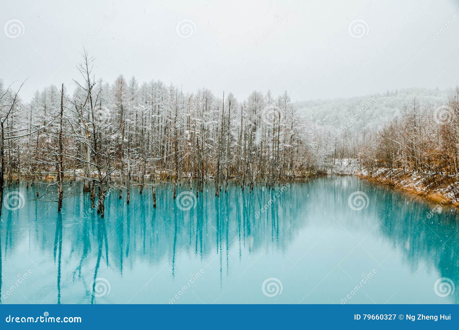 Biei Blue Pond stock image. Image of snow, pond, scenic 79660327