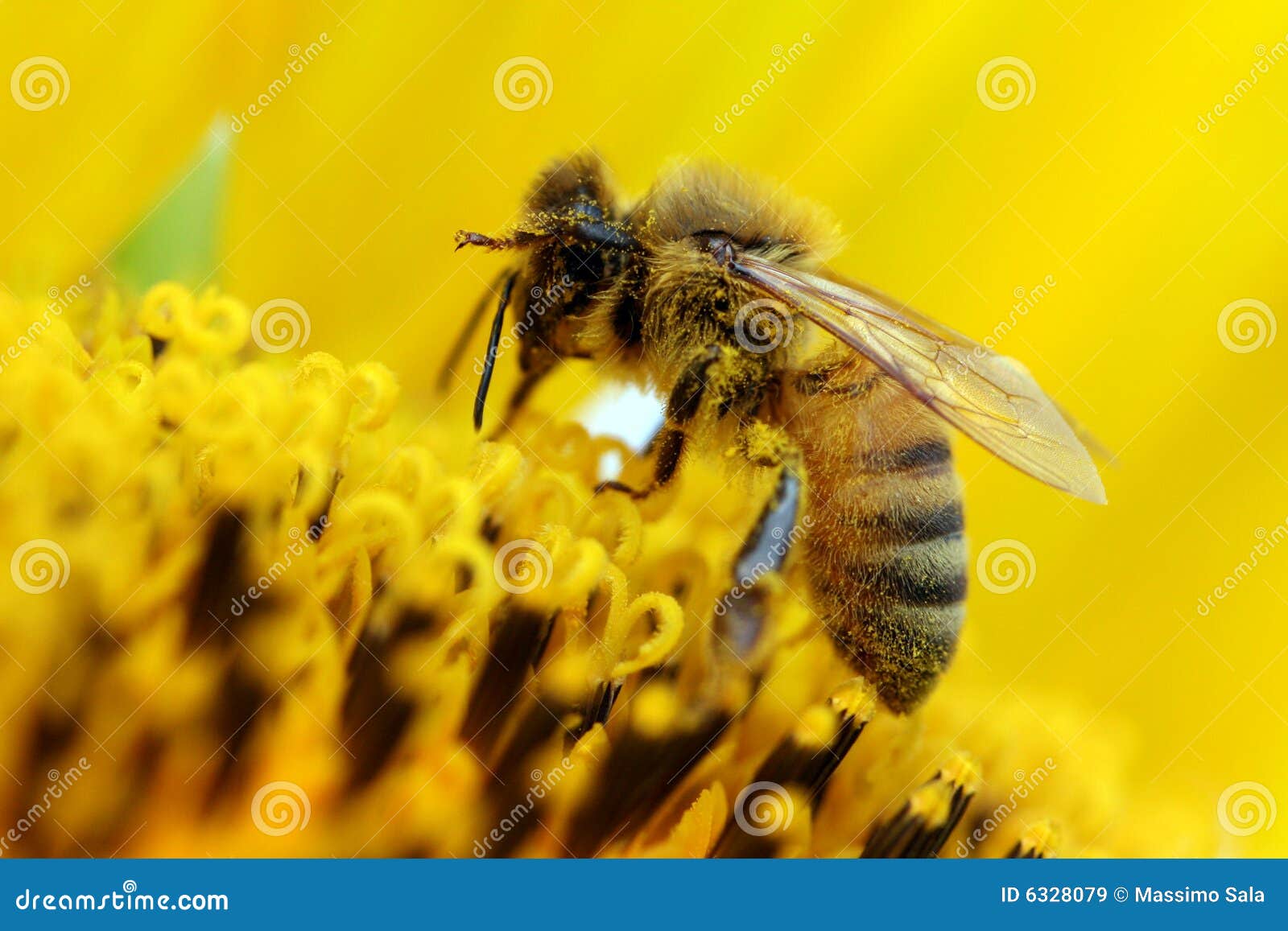 Bienengartenstein - Willkommen In Meinem Garten Dekostein Aus Kunstharz