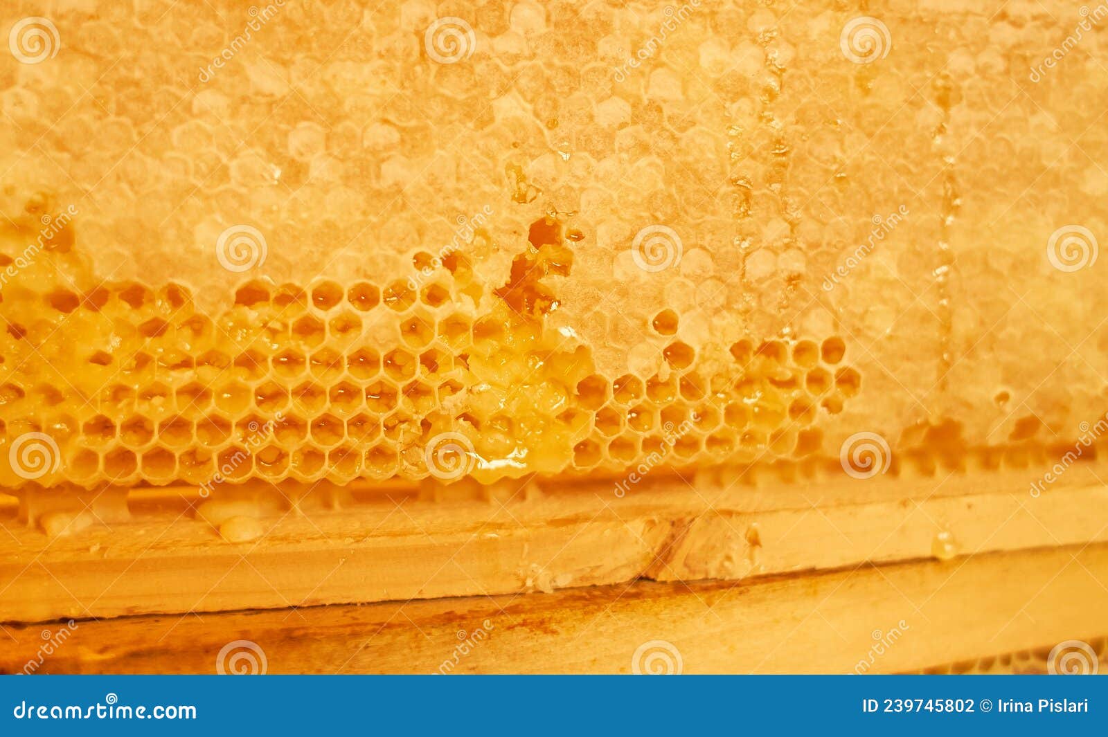 Bienenstock. Bienenzuchtkonzept. Hintergrundtextur Eines Wabenkreises ...