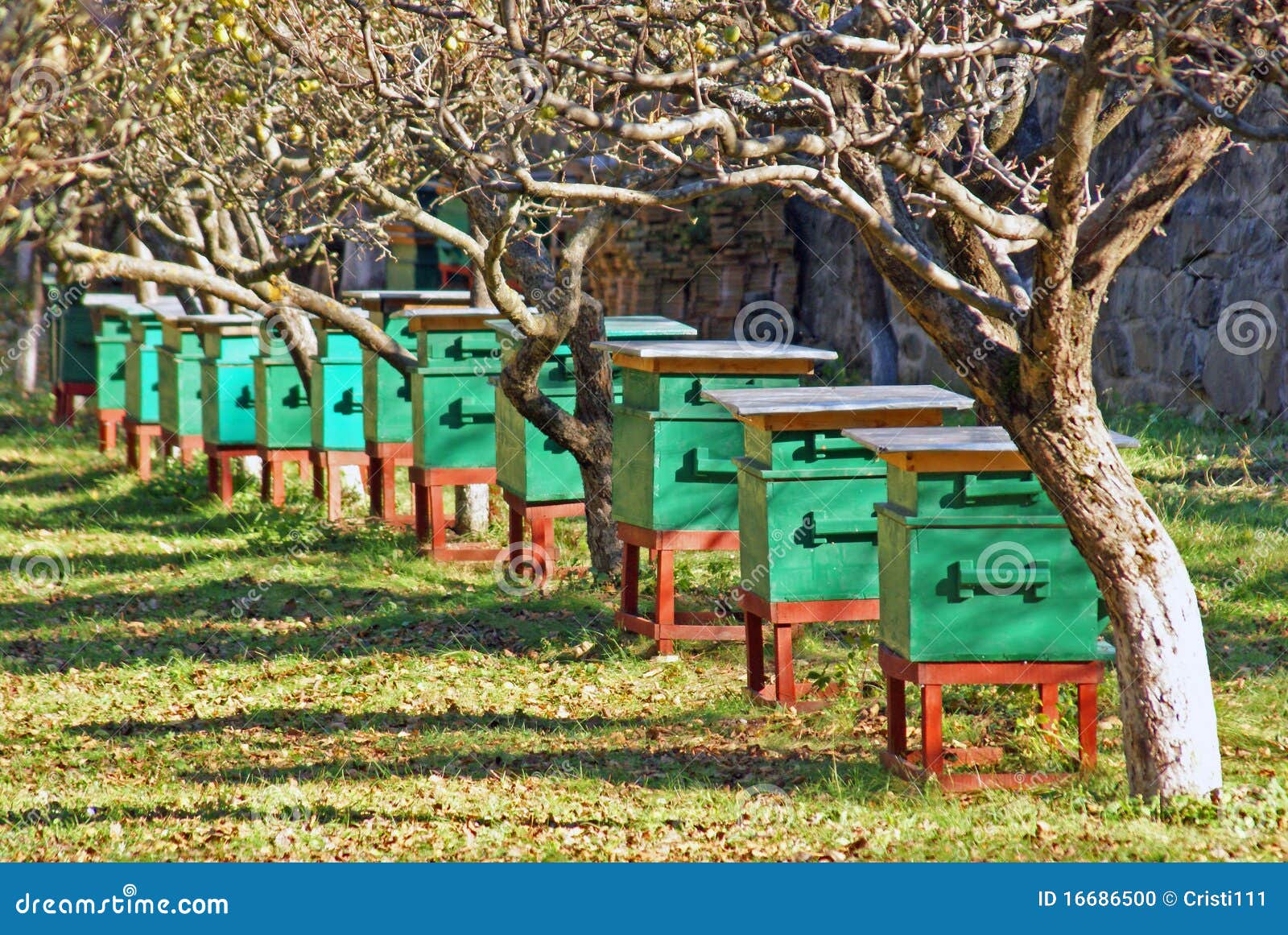Bienenstock der Bienen stockfoto. Bild von imker, garten 16686500