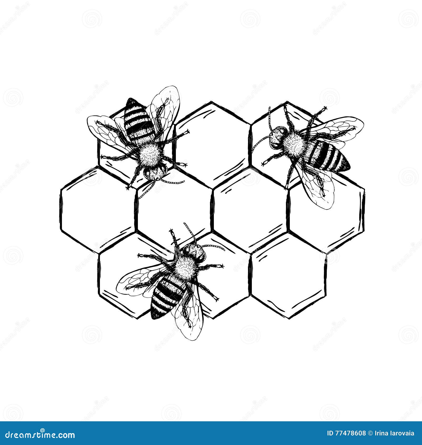 Bienenweinlese-Vektorsatz vektor abbildung. Illustration von graphik