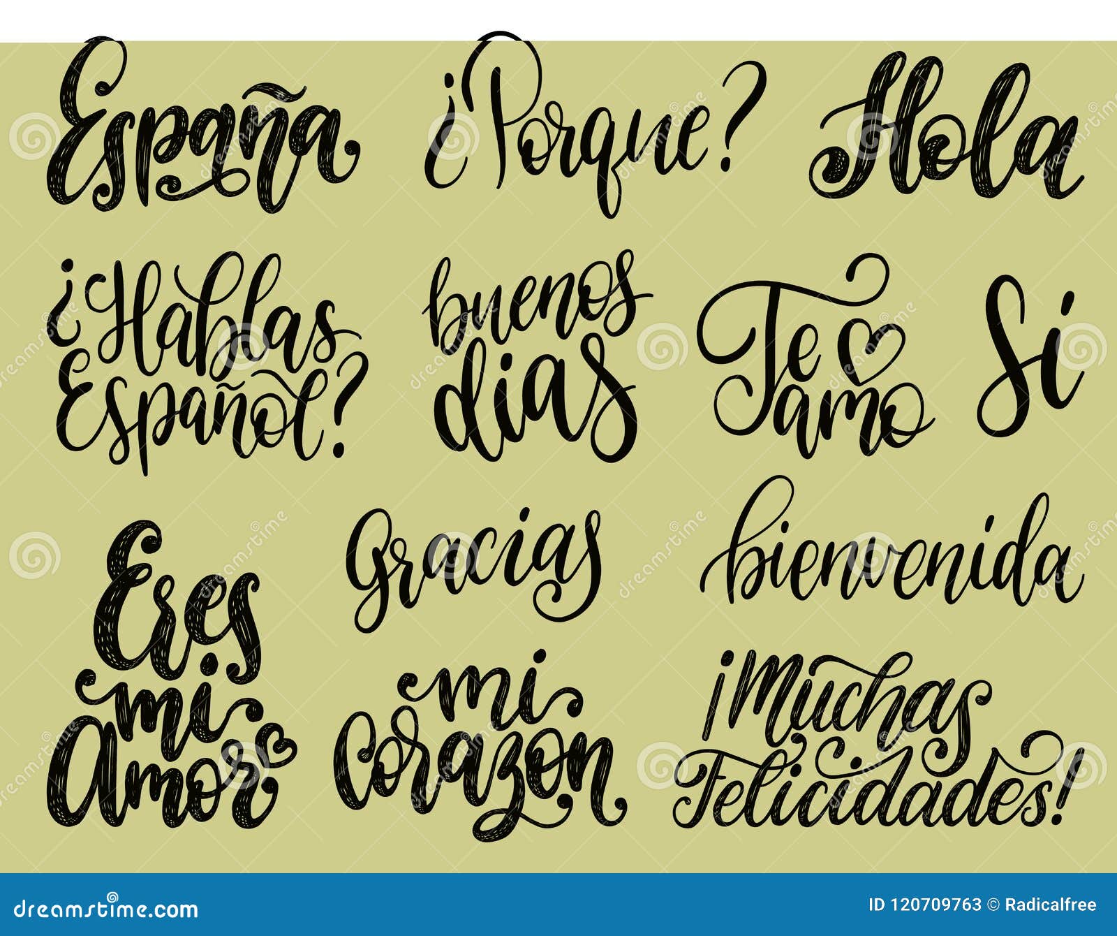 bienvenida, hola, gracias, espana translated from spanish handwritten phrases welcome, hello, thank you, spain etc.