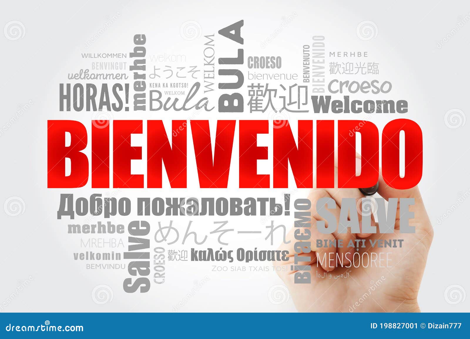 Welcome - in Spanish. Lettering. Bienvenido. | Sticker