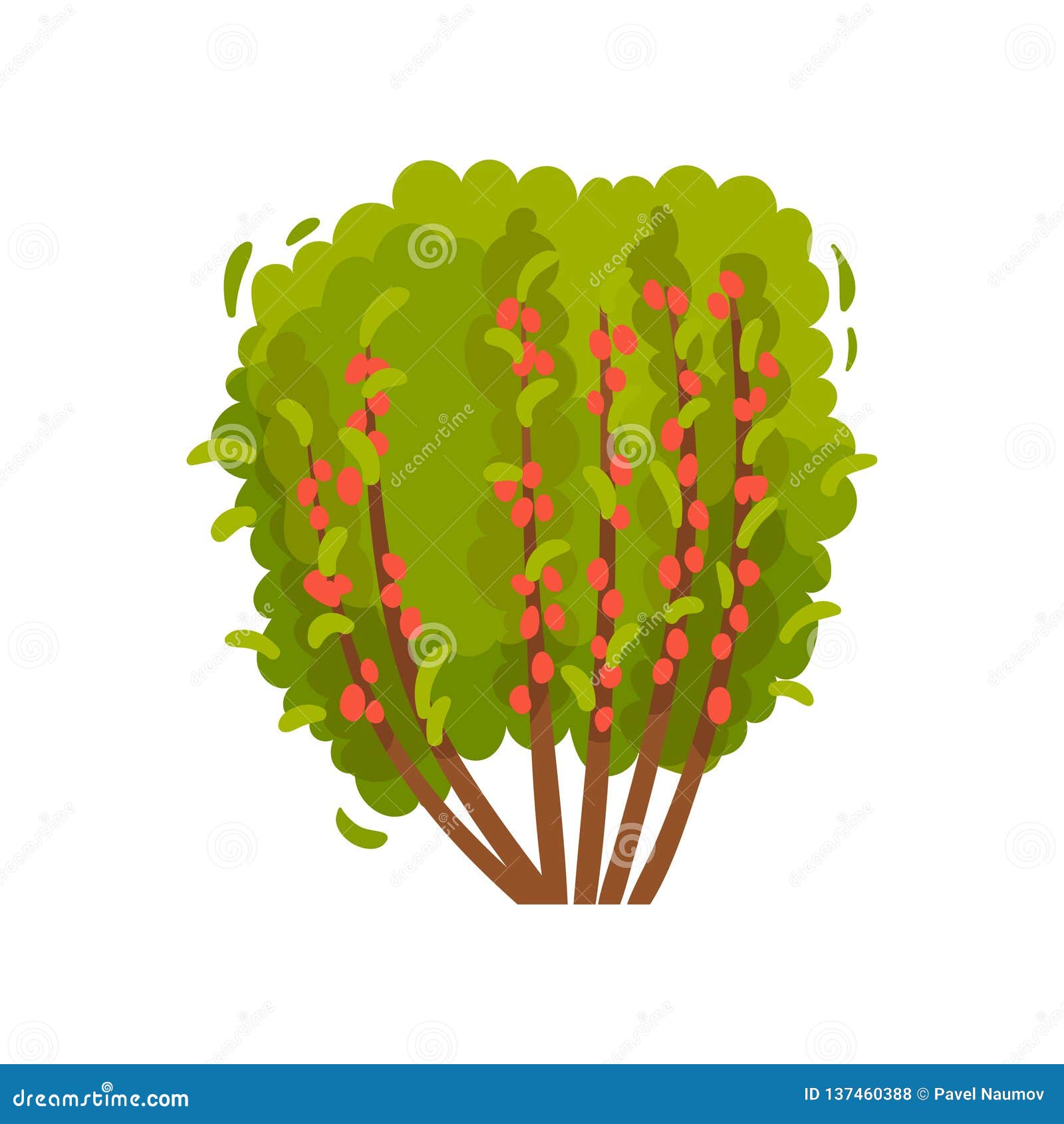 big barberry bush. shrub with ripe berries and green foliage. agricultural plant. organic product. flat  icon