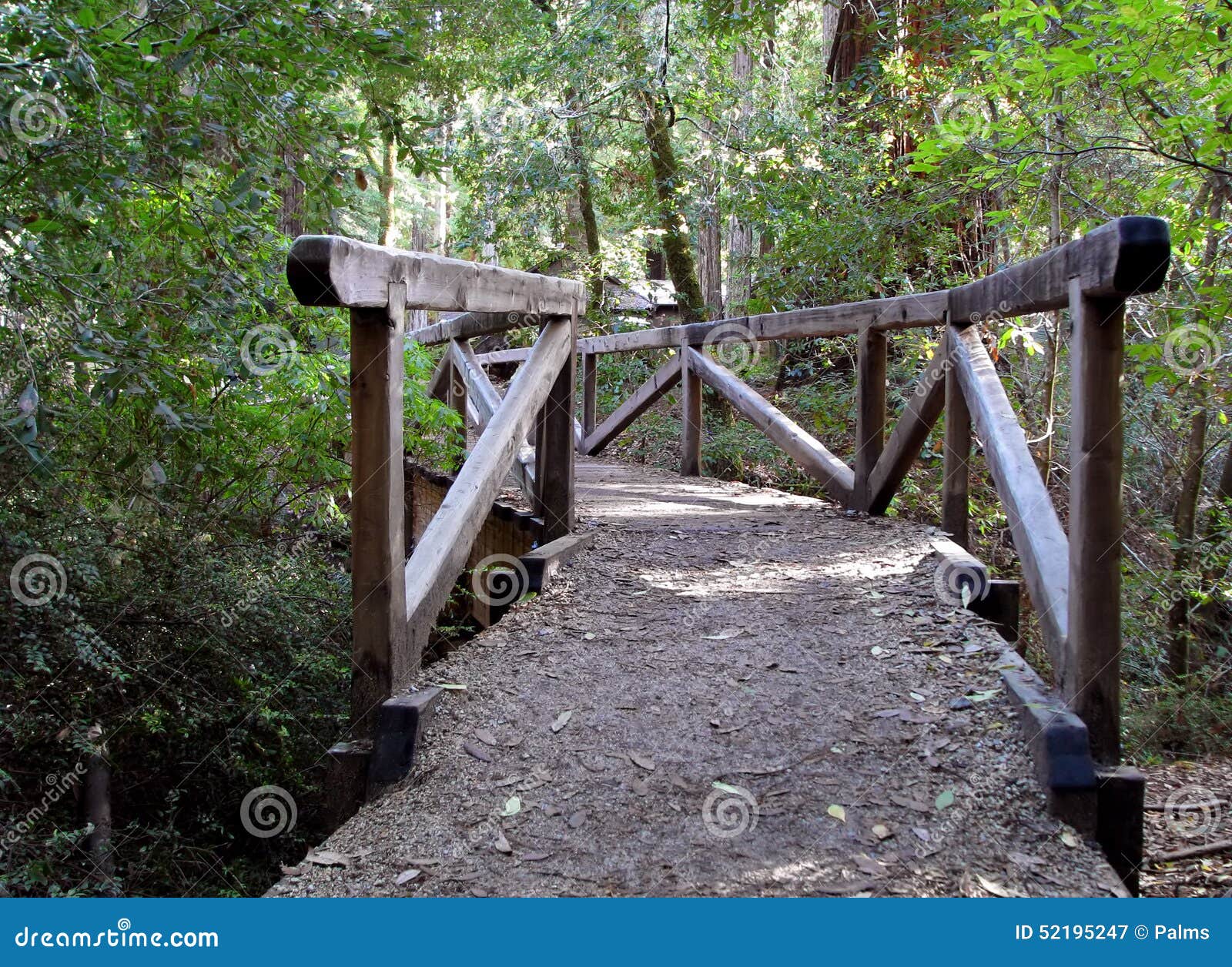 big basin redwoods park bridge