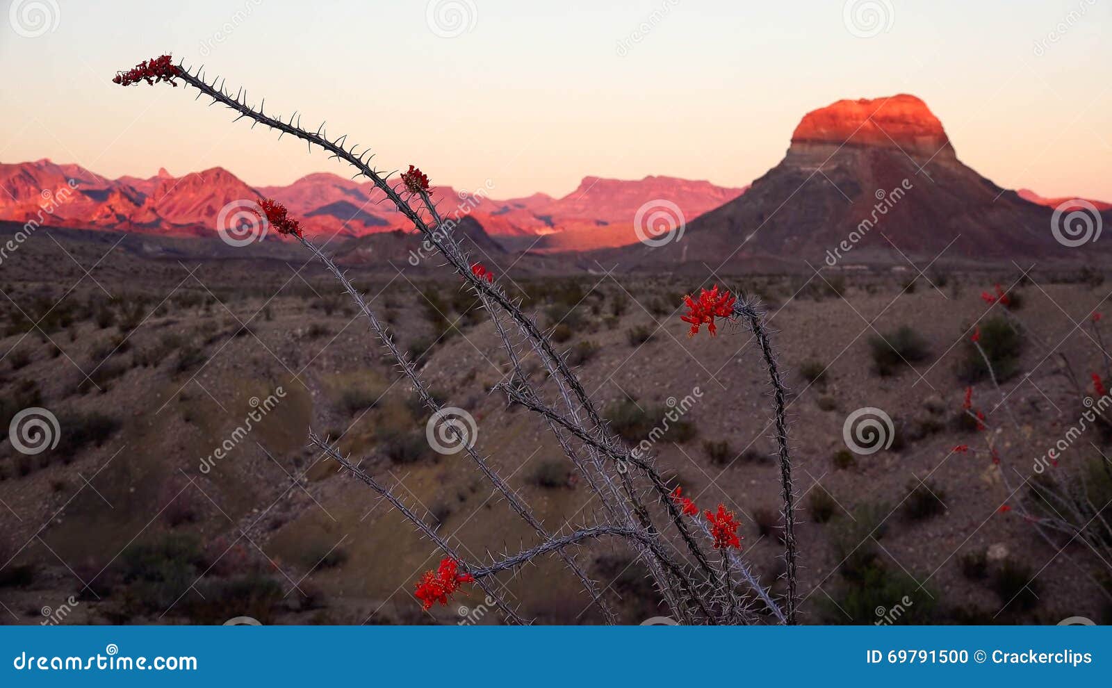 Big Bend National Park Desert Landscape at Sunset Stock Photo Image