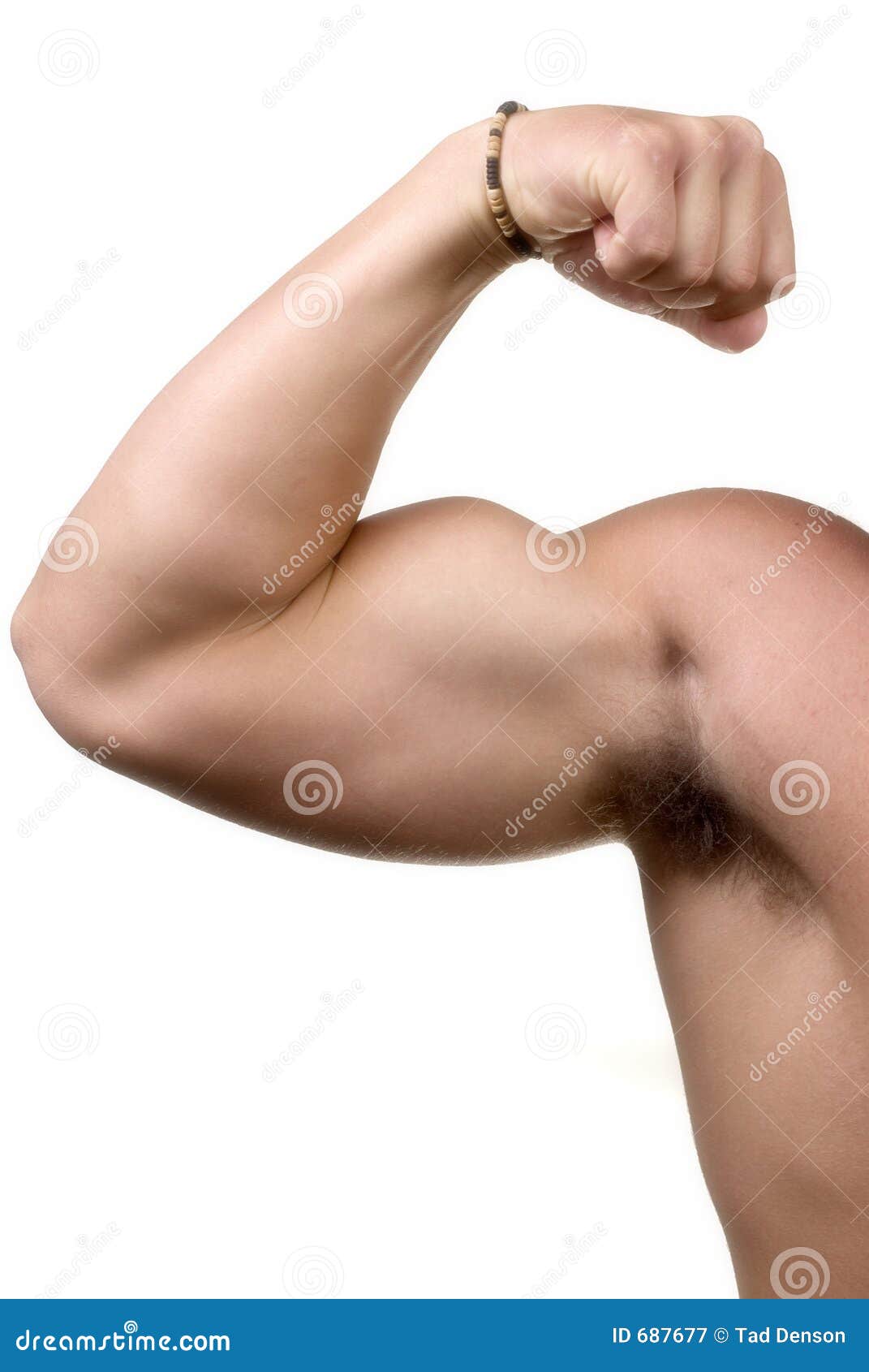 big bicep