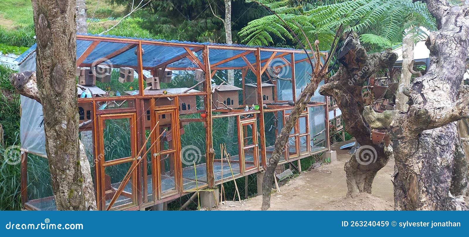 Big Bird Cage in the Mountain Stock Image Image of cage, exploring