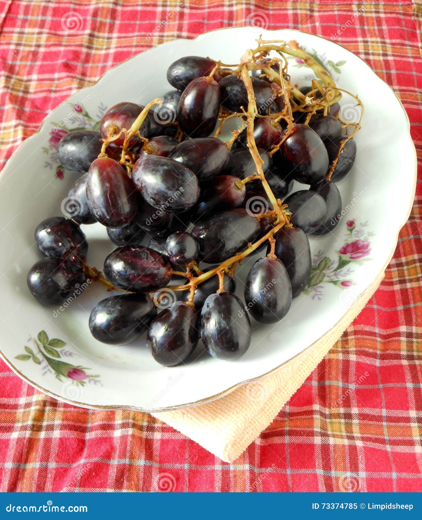 Big Black Grapes Fruit Tray Stock Image Image of grape, ribes 73374785