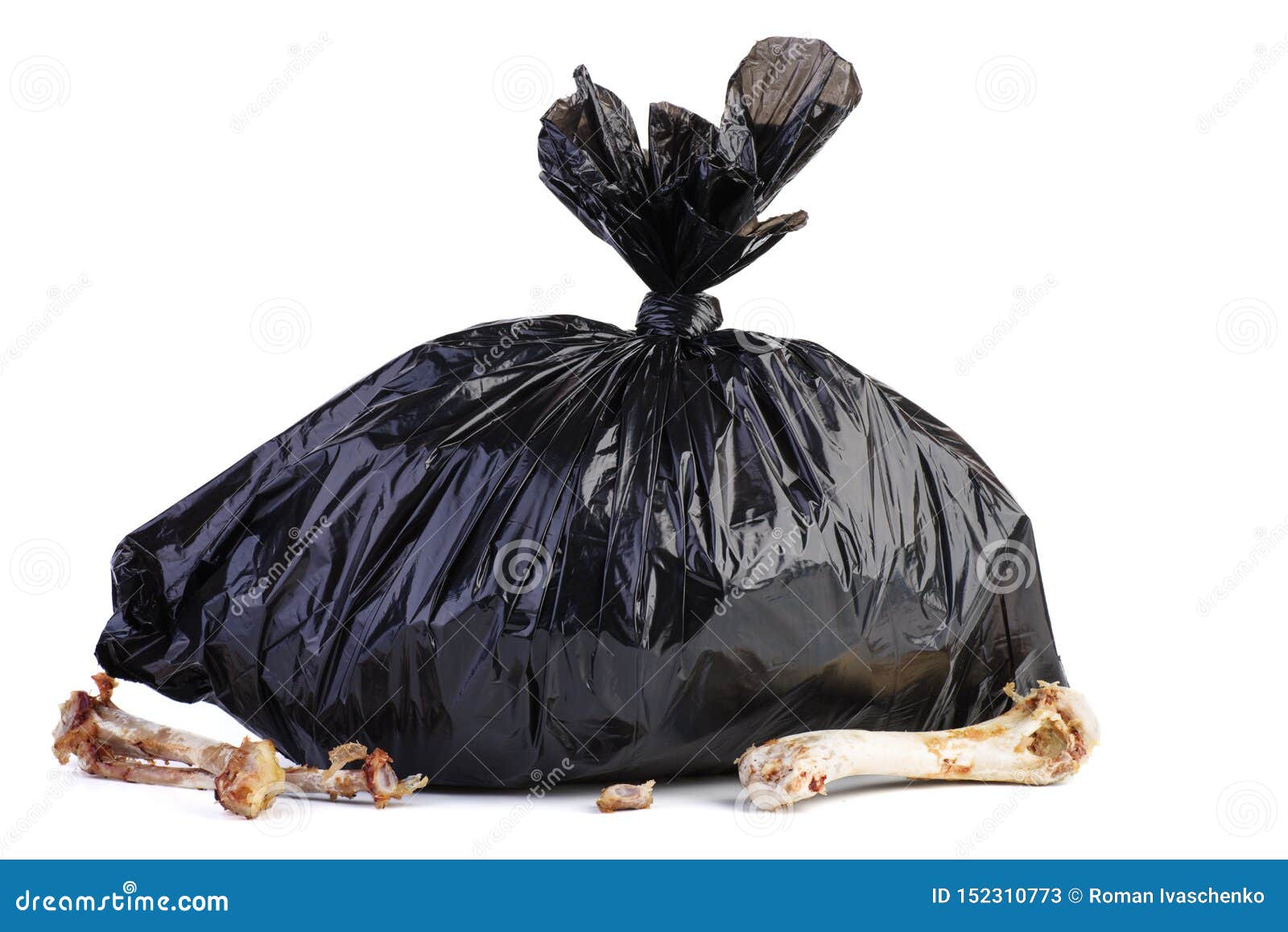 Big Black Plastic Garbage Bag and Bones Near Stock Image - Image of junk,  isolated: 152310773