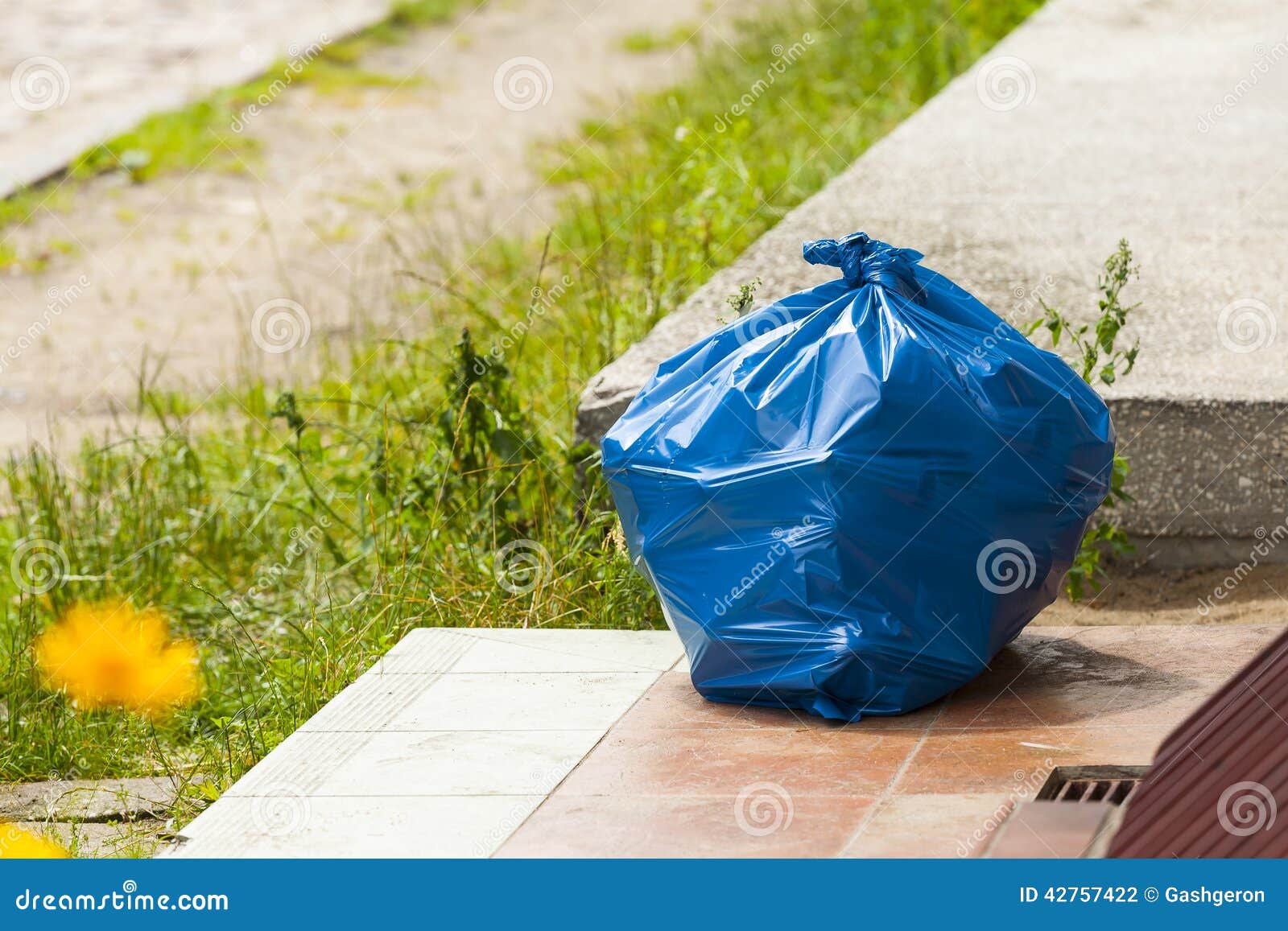 Plastic Garbage Bags Hanging on the Tree, Plastic Waste Pollution Stock  Photo - Image of polyethylene, bags: 198616200