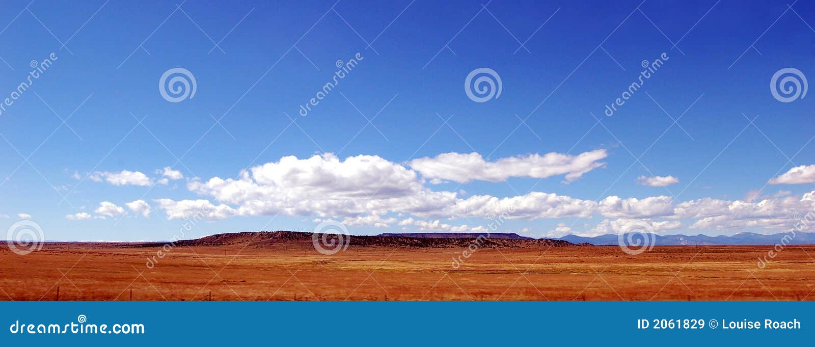 big blue sky golden prairie