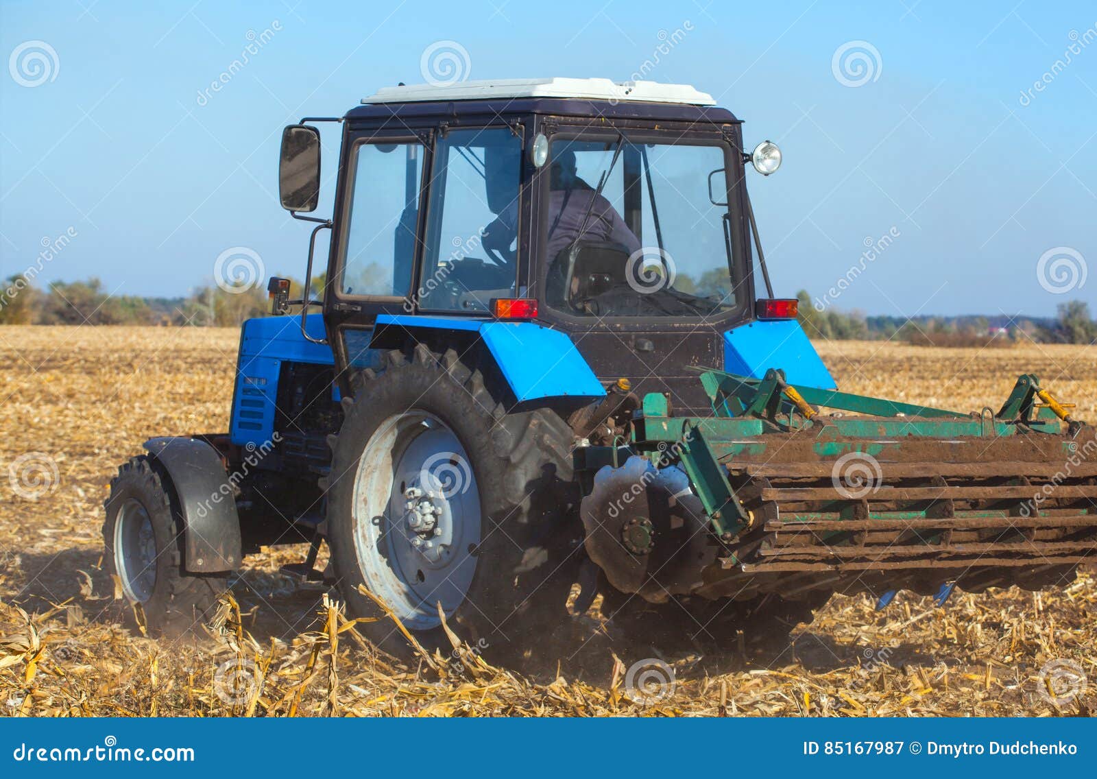 big blue tractor plows the field and removes the remains of previously mown corn.