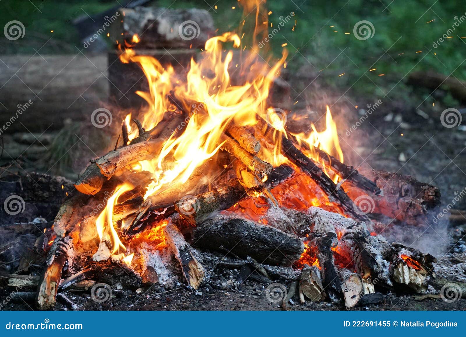 Big Bonfire Close-up with Sparks in Summer Stock Image - Image of flame ...