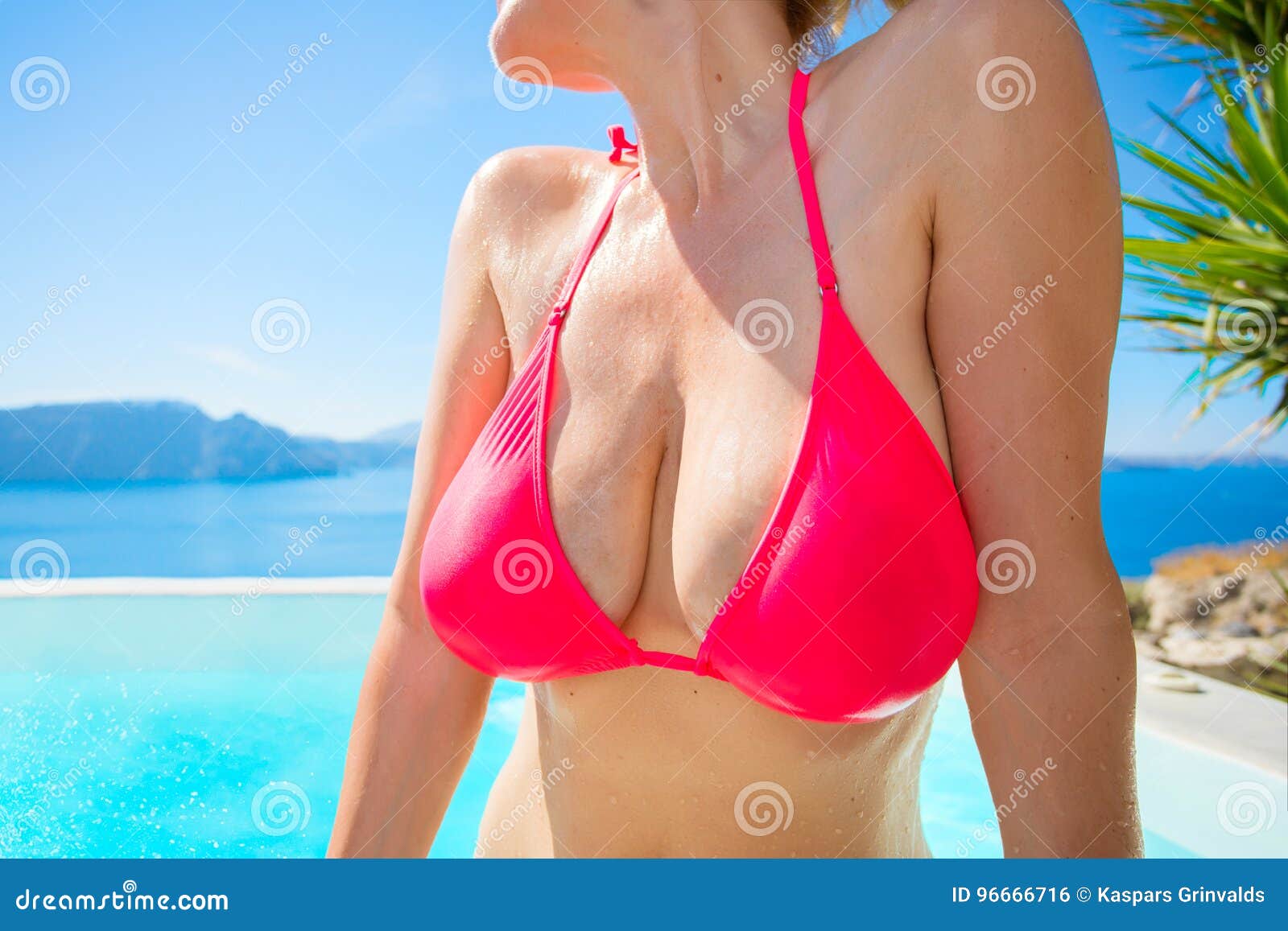 Big boobs in bikini