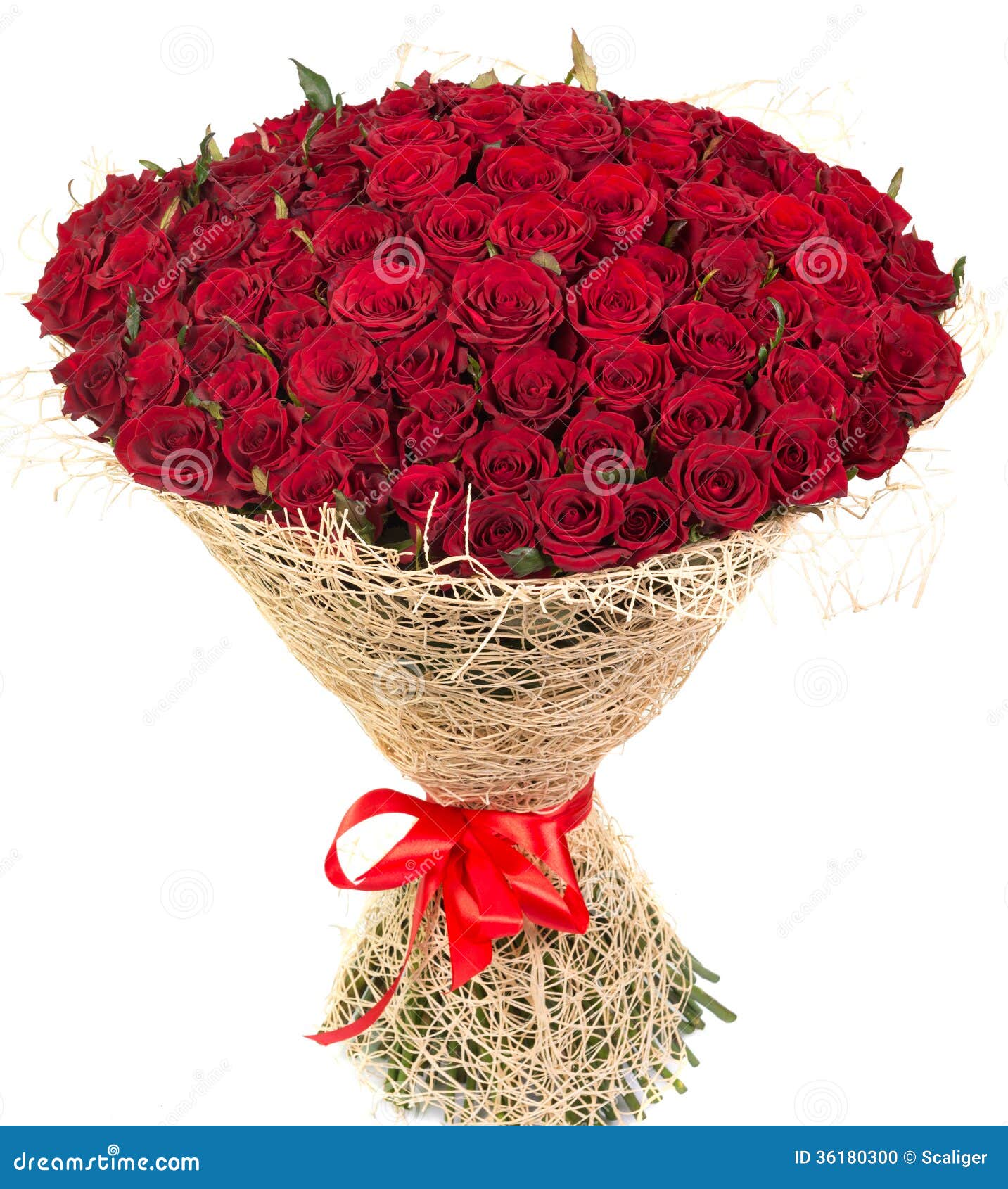 big bouquet red roses isolated white background 36180300