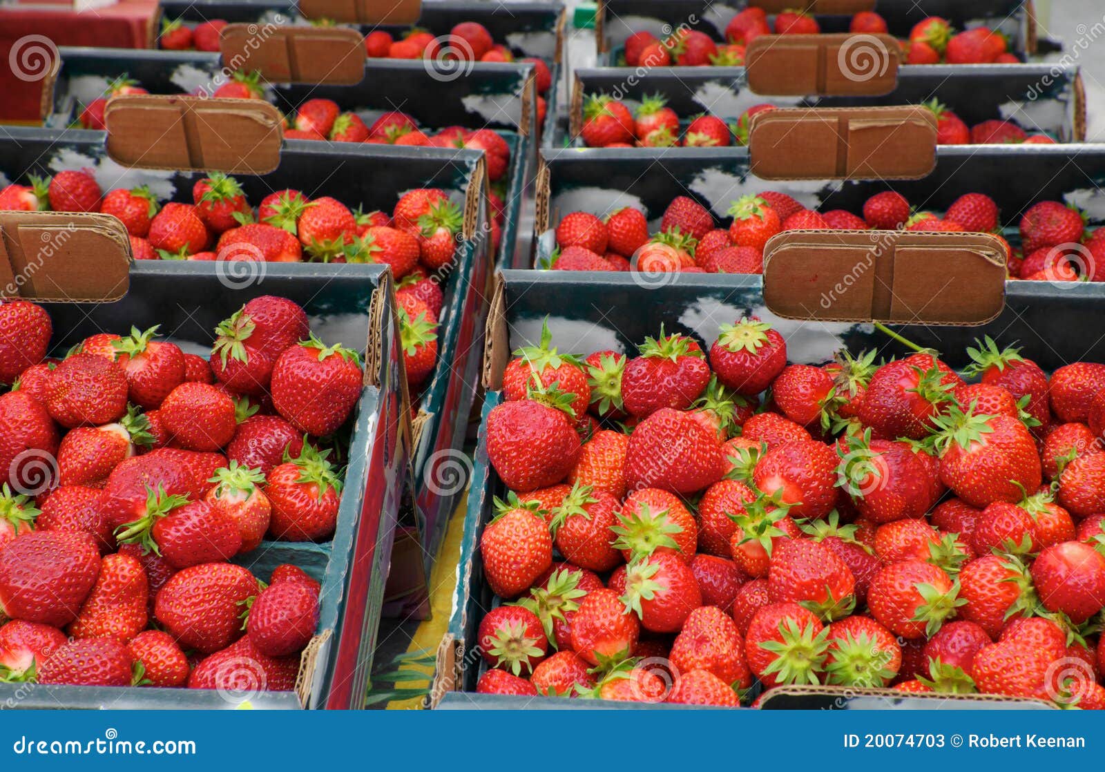 Big boxes of Strawberries stock image. Image of organic 20074703