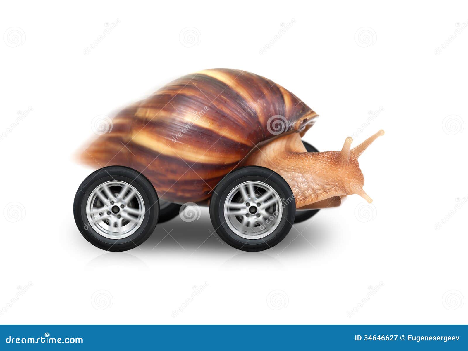 big-brown-snail-fast-driving-wheels-isol