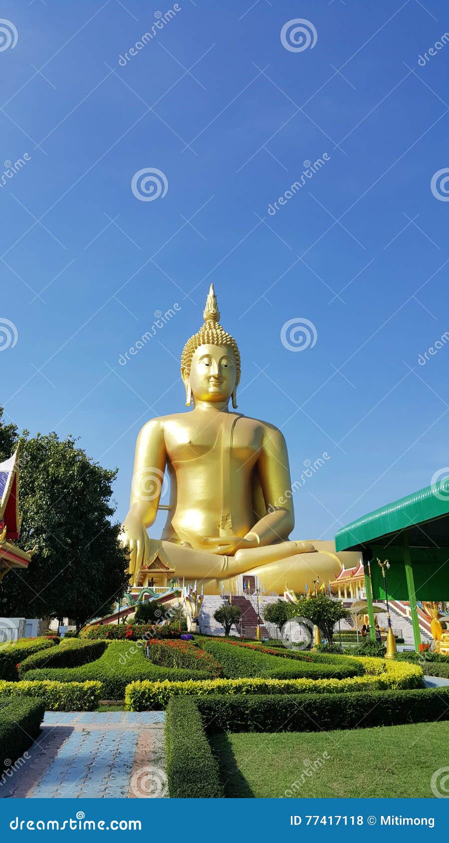 Big Buddha Statue in Thailand Stock Photo Image of traditional
