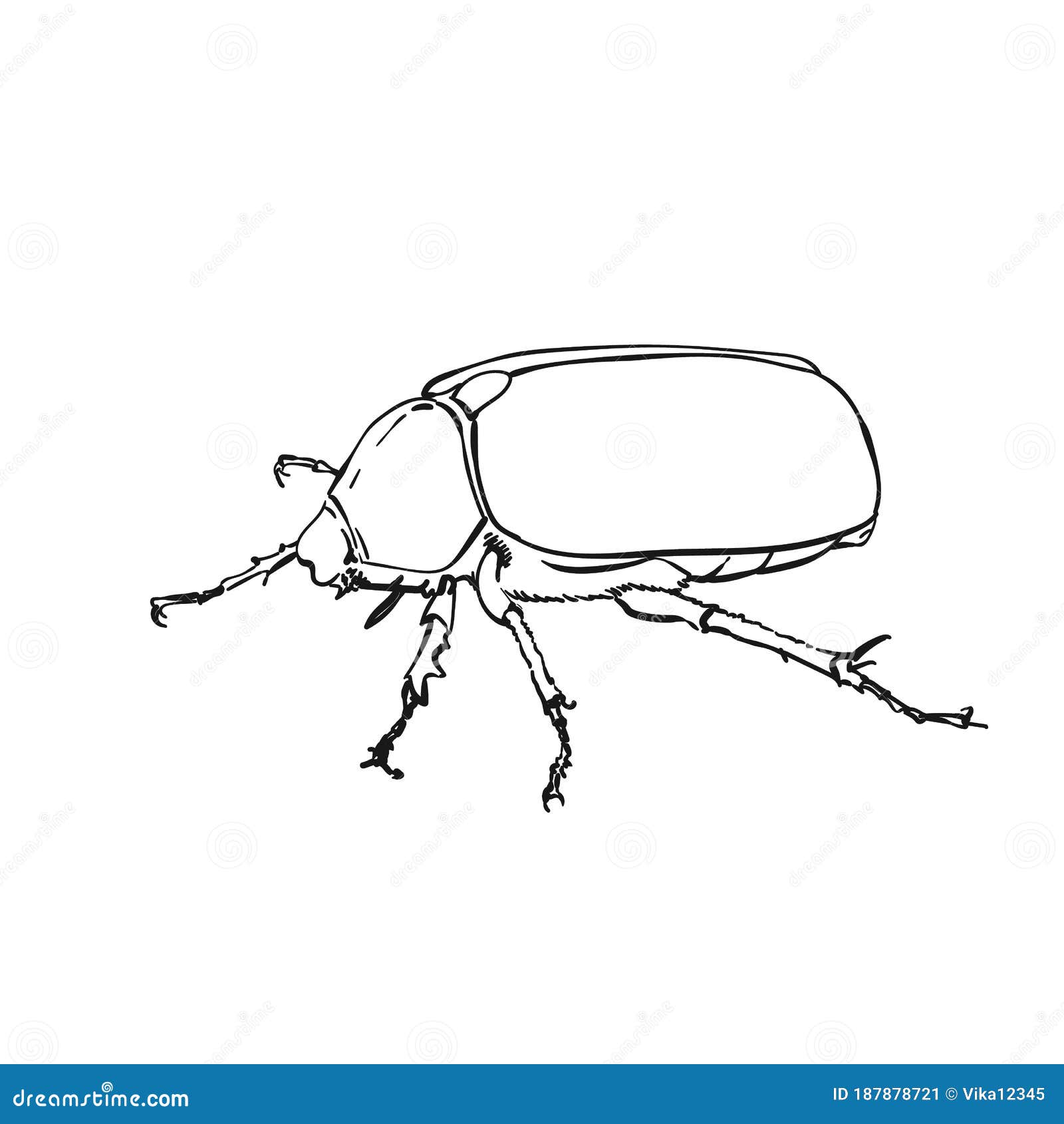 Bug Drawing  How To Draw A Bug Step By Step
