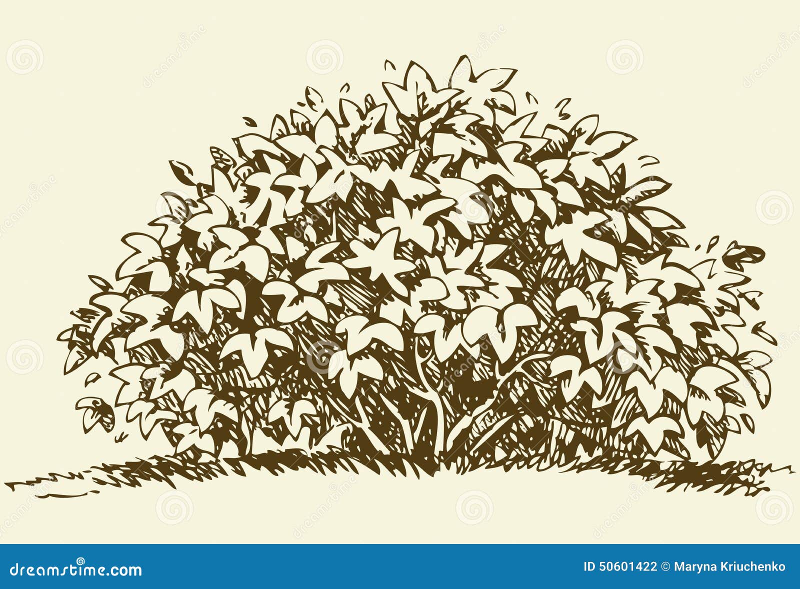 118040 Bush Drawing Images Stock Photos  Vectors  Shutterstock