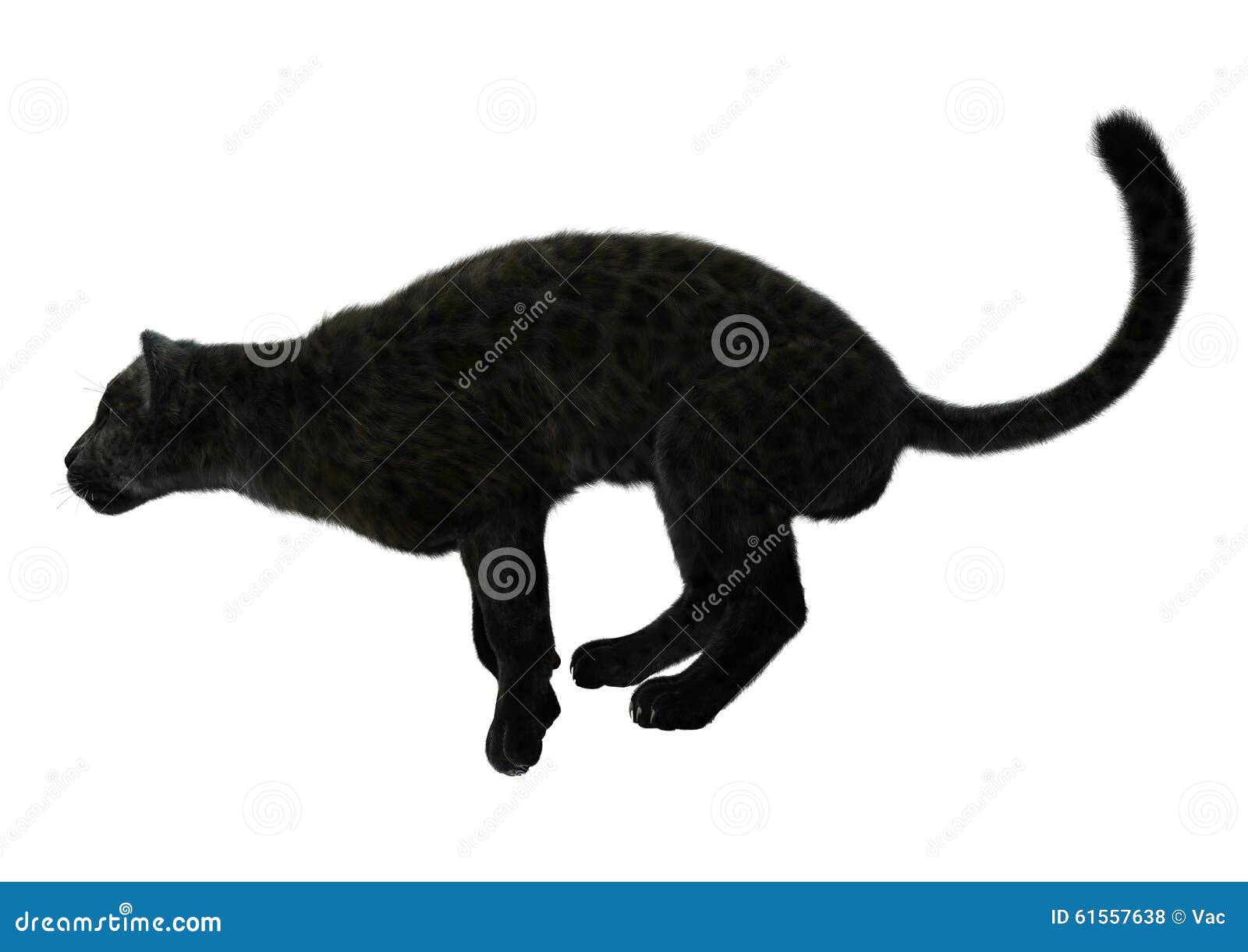 32,327 Two Black Cat Images, Stock Photos, 3D objects, & Vectors