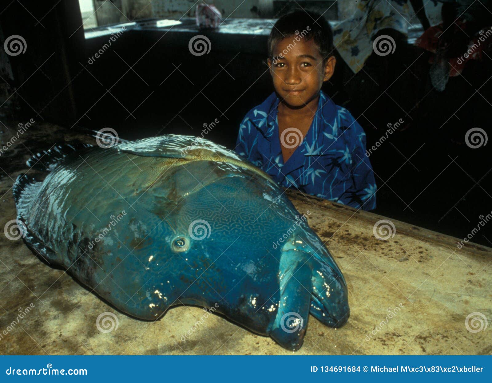 Big Catch Big Fish The Amazon River Supplies The Locals With Fresh Food Editorial Stock Image Image Of Fish Food Big Catch Big Fish The Amazon River Supplies The Locals With Fresh Food Editorial Stock Image Image Of Fish Food