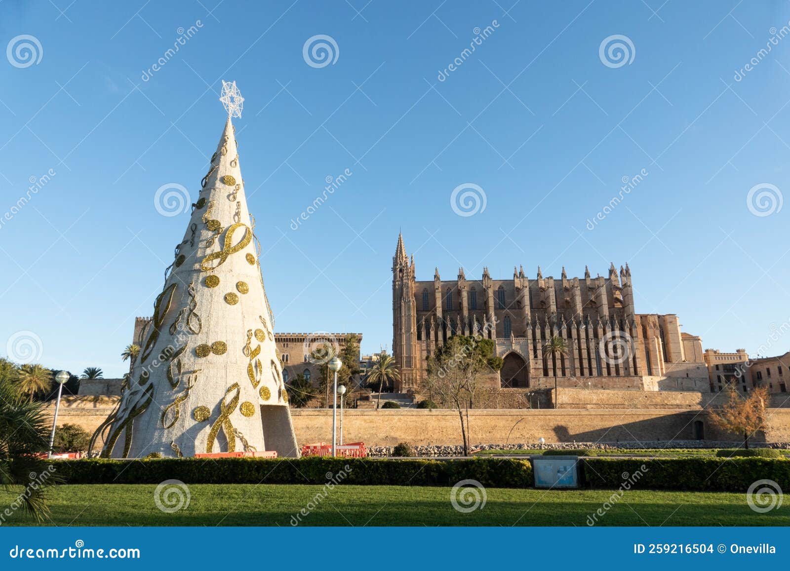 Palma Majorca Big Christmas Tree and Cathedral Stock Photo Image of