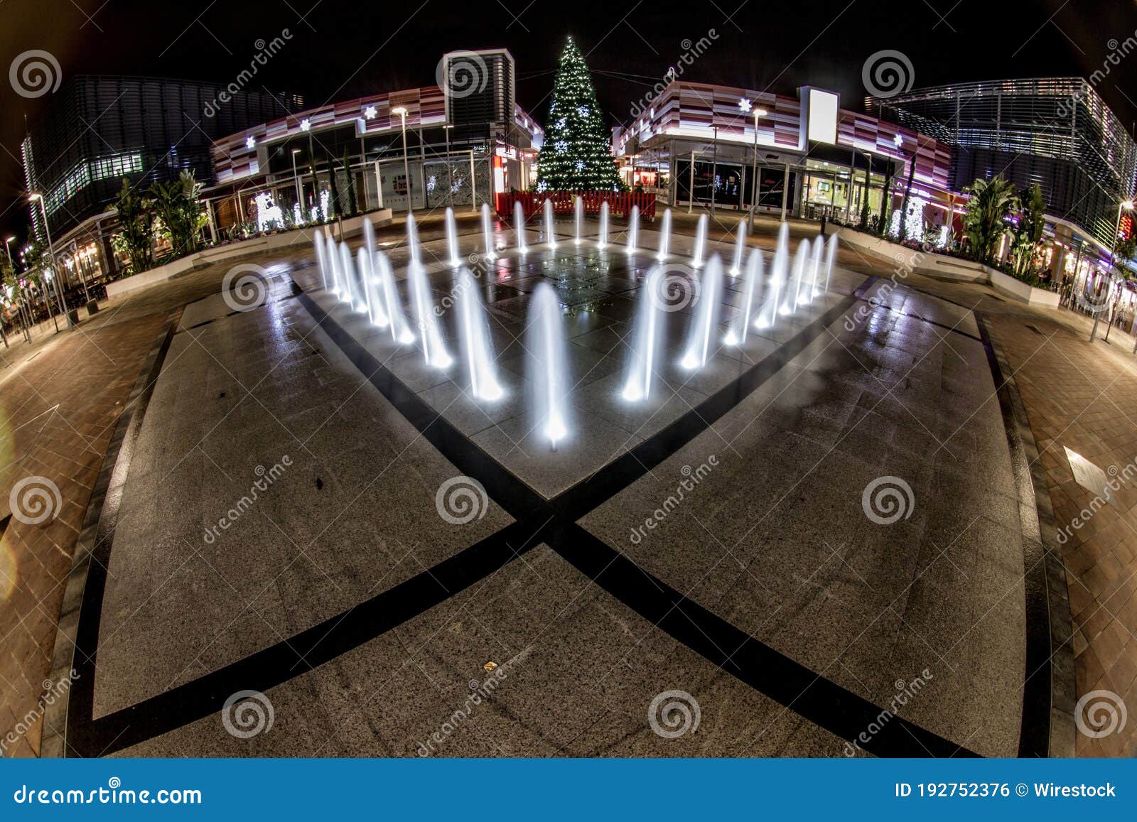 Big Christmas Tree in the Park with Fountains Stock Photo Image of