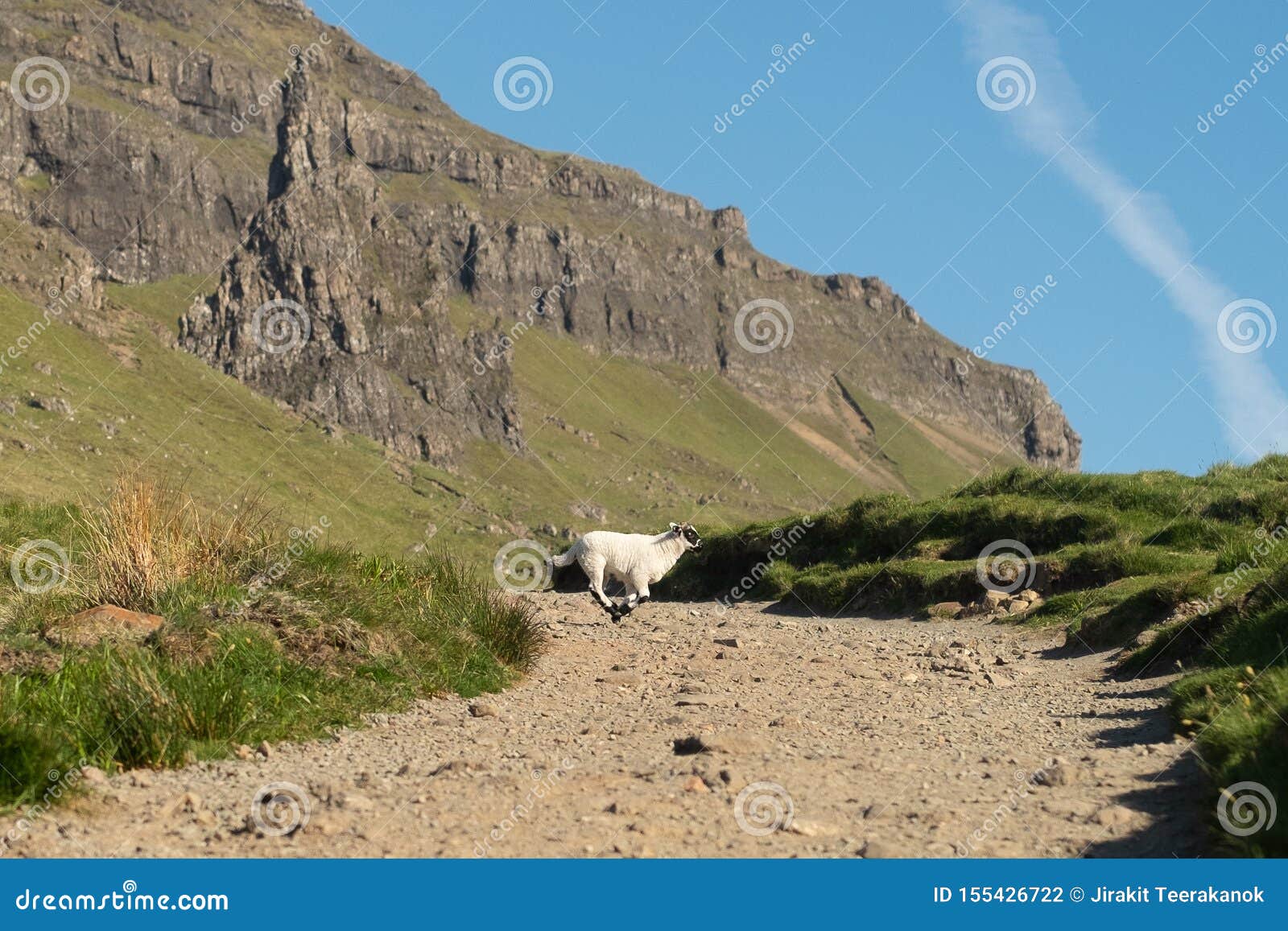sheep hills dirt jumps