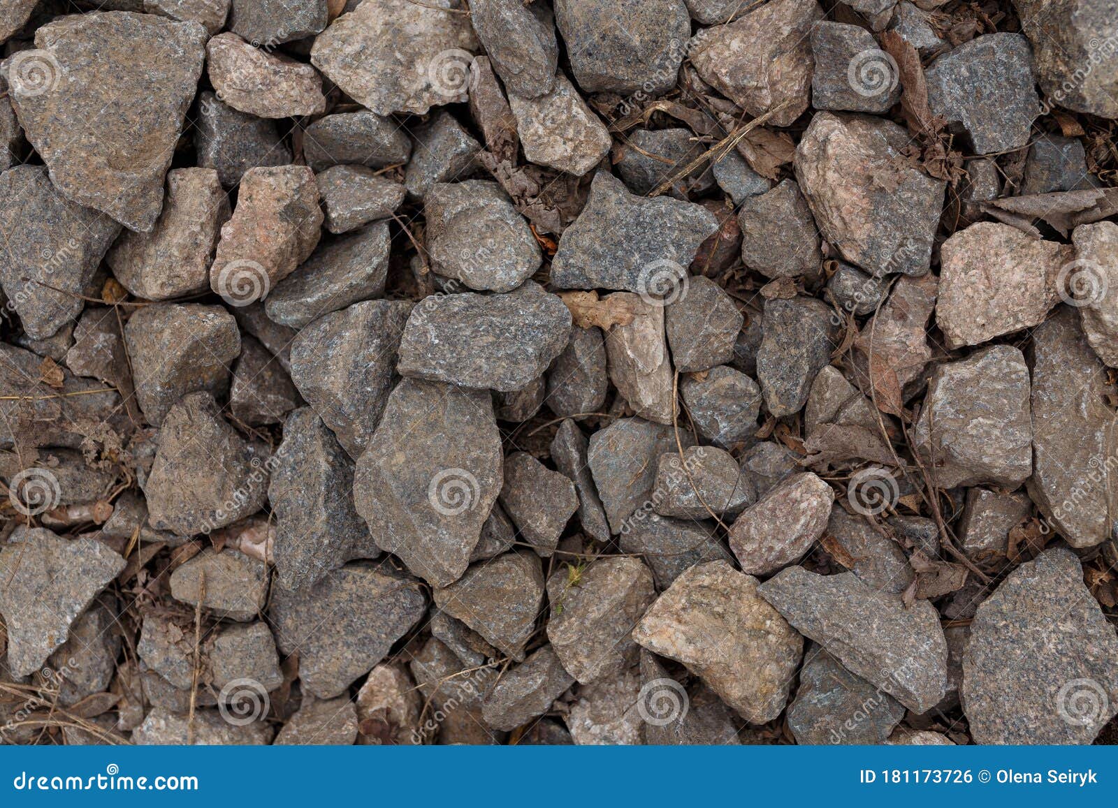 Big Cobbles, Cobblestones on the Ground. Texture Background Stock Photo