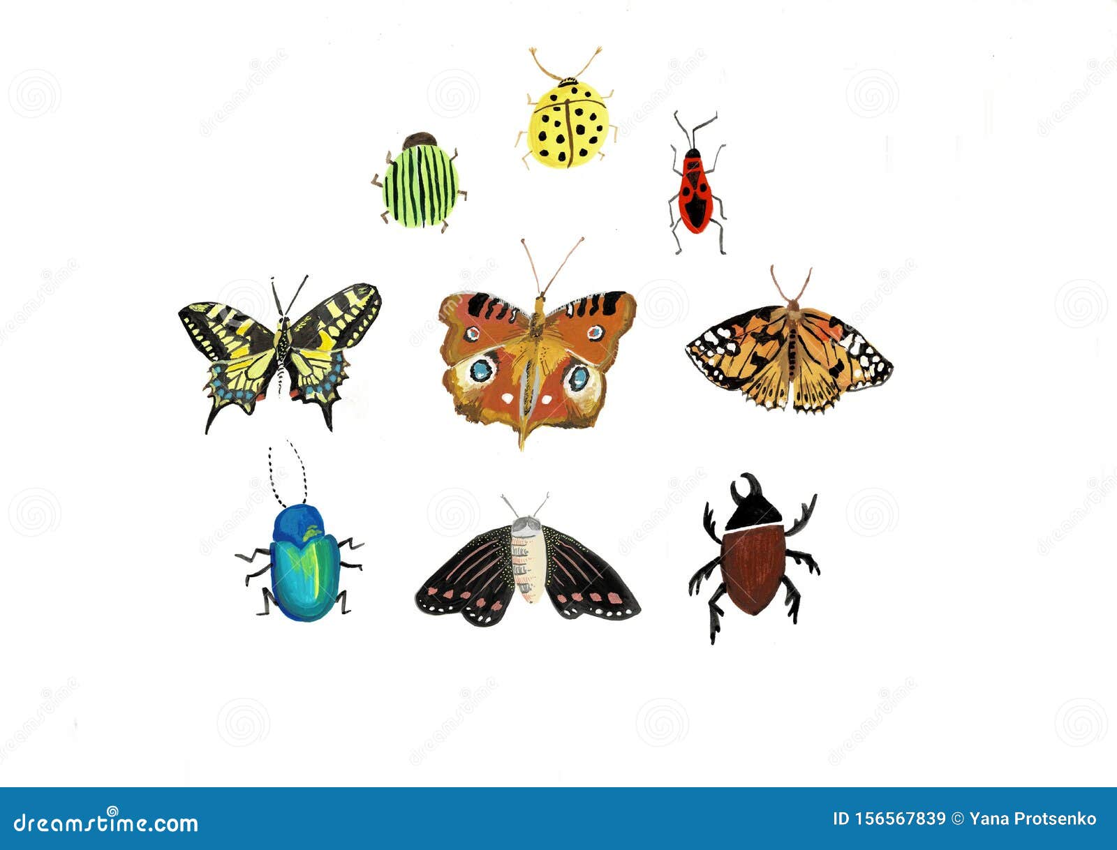 Big Colorful Hand Drawn Doodle Set with Insects. Beetle, Butterfly ...