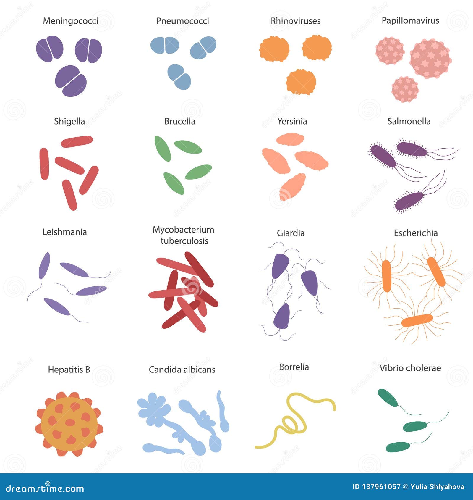 Big Colorfull Set with Different Dangerous Viruses and Germs with Its