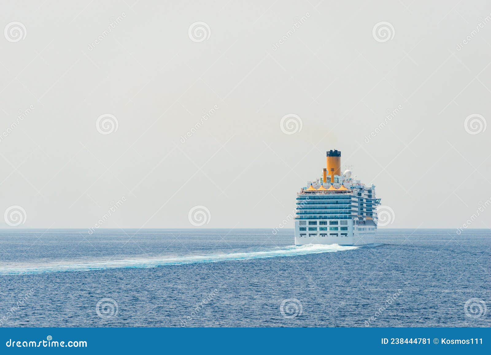 big cruise ship in the sea