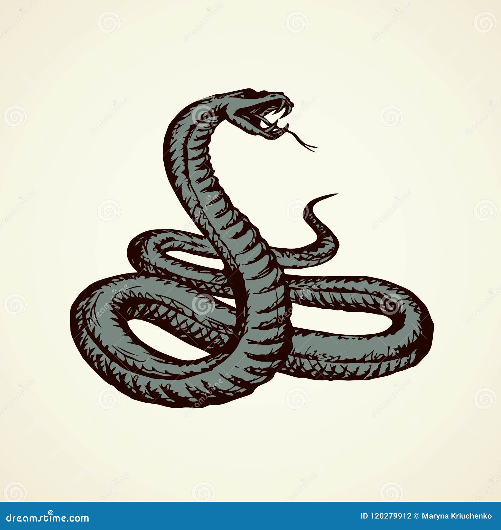 Snake. Vector drawing stock vector. Illustration of predator ...