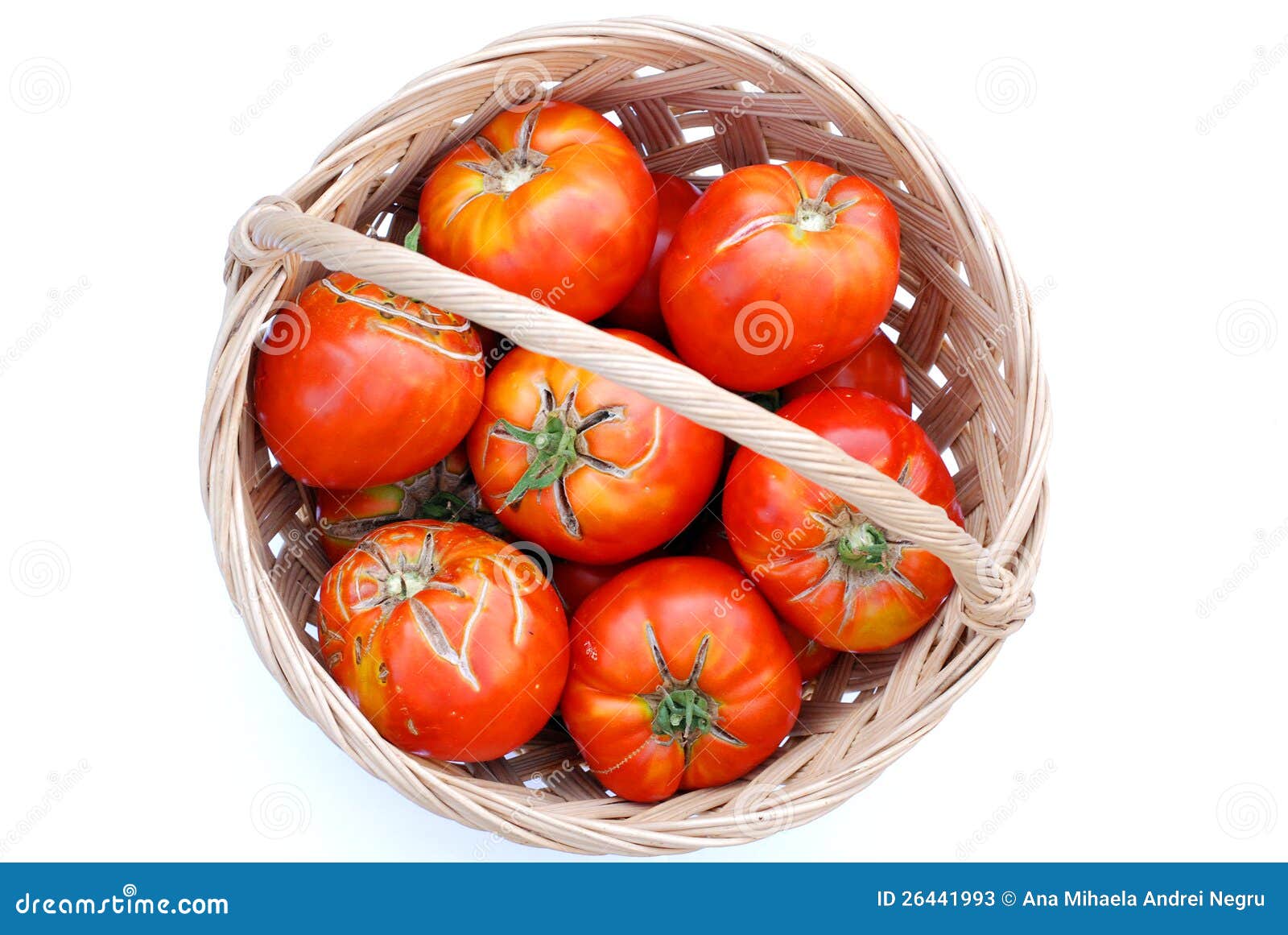 Big Ecological Tomatoes in a Basket Stock Image Image of agriculture