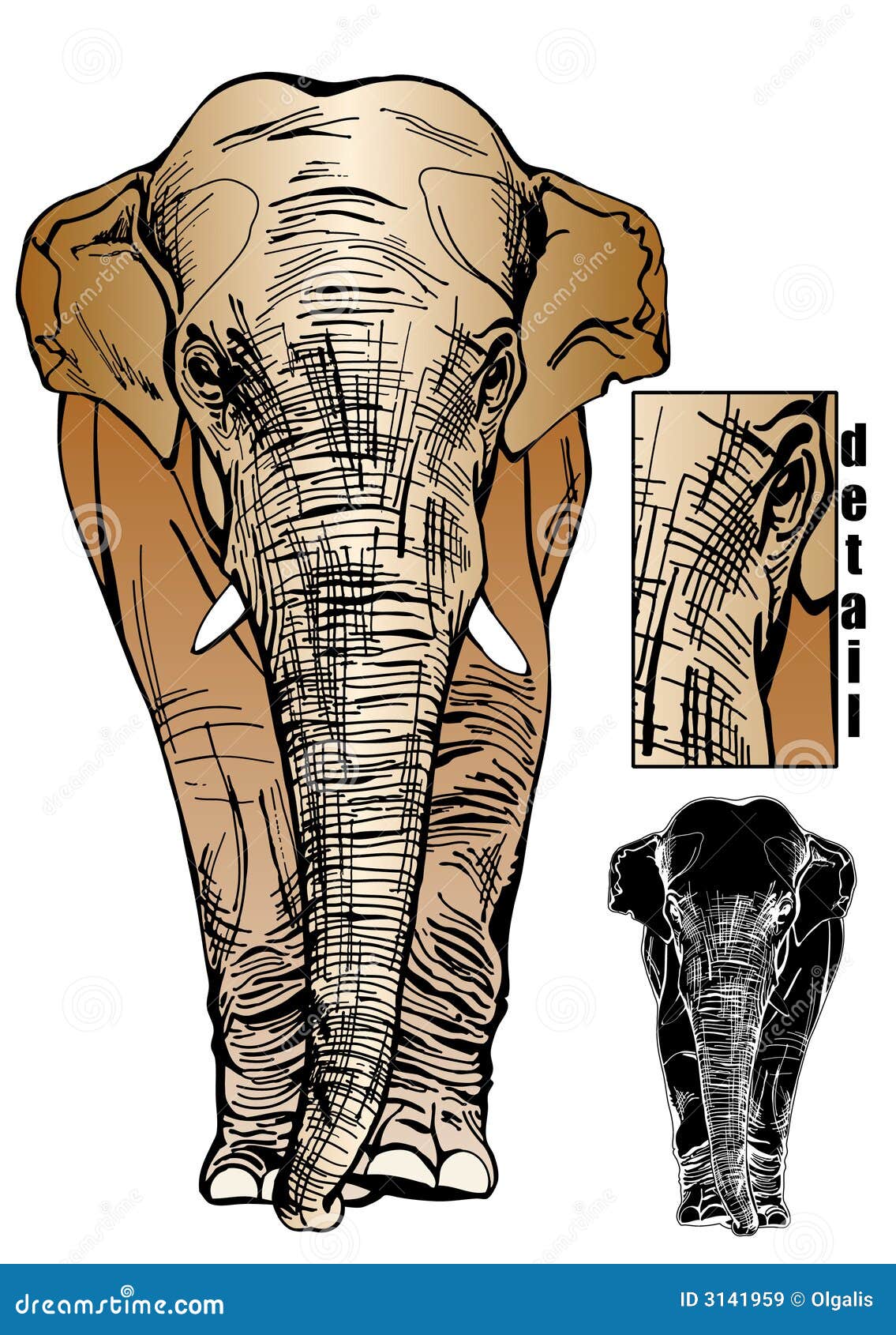 Drawing of an elephant Cut Out Stock Images  Pictures  Alamy