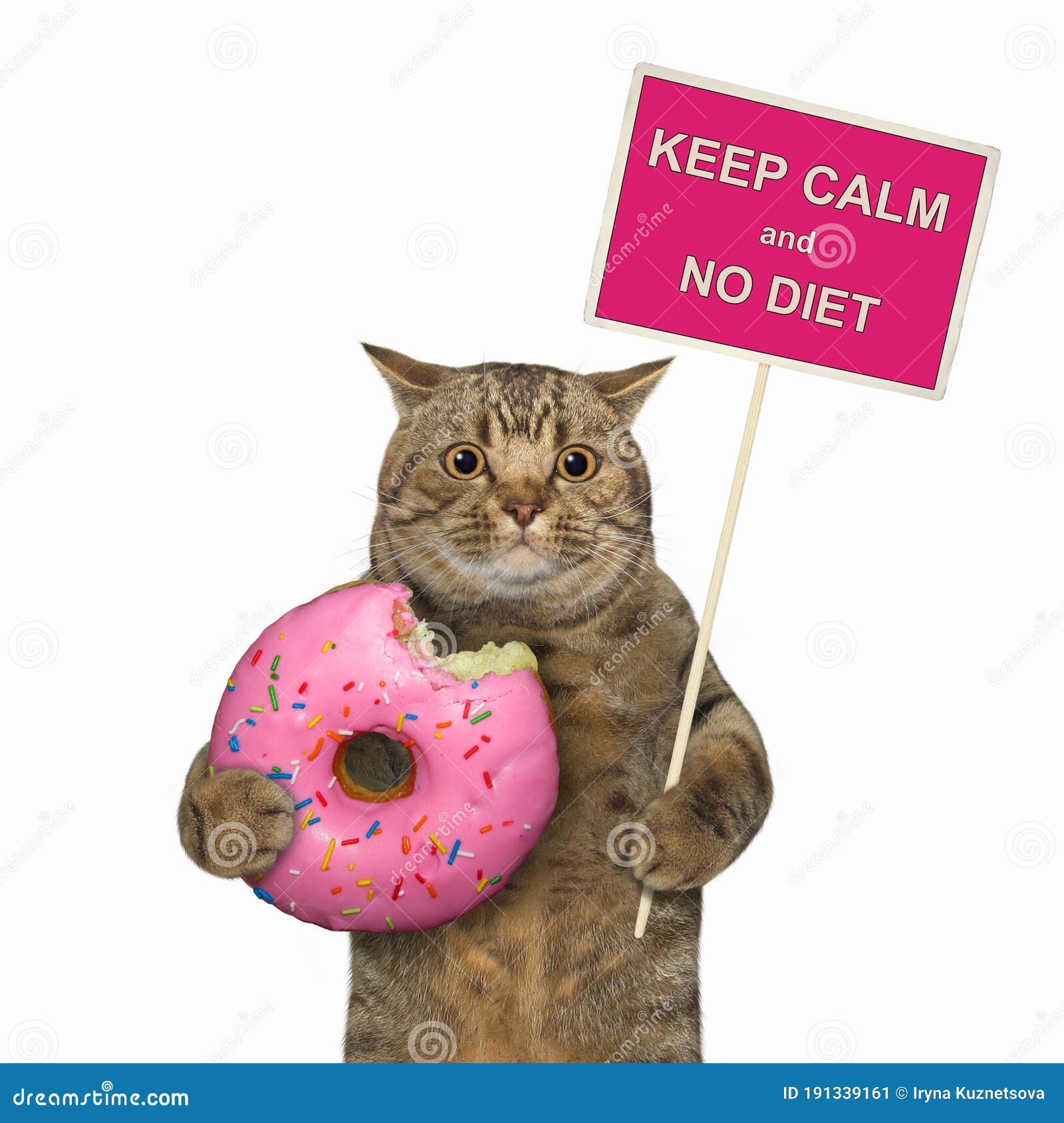 Big Eyed Cat Holds Pink Donut And Sign Stock Image Image Big Eyed Cat Holds Pink Donut And Sign Stock Image Image