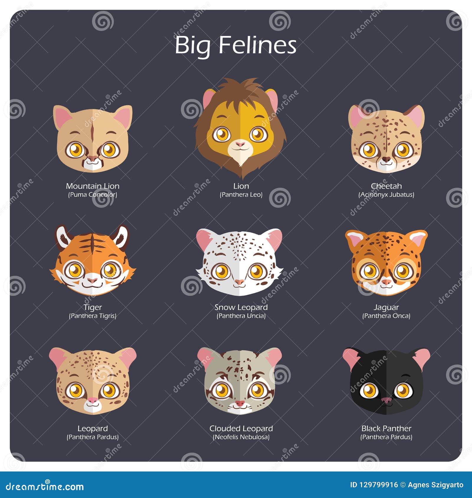 big feline flat avatars with regular and scientific names