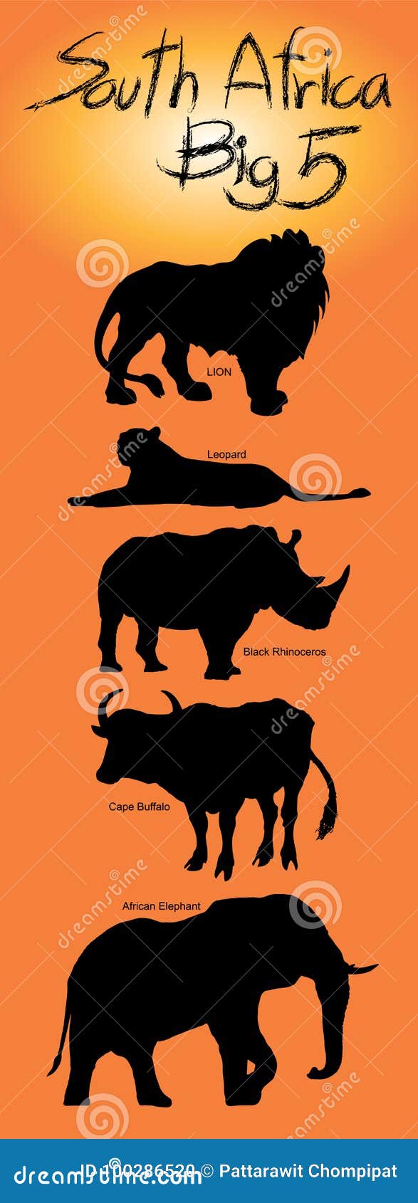 Big five Illustration . stock illustration. Illustration of rhinoceros -  100286520