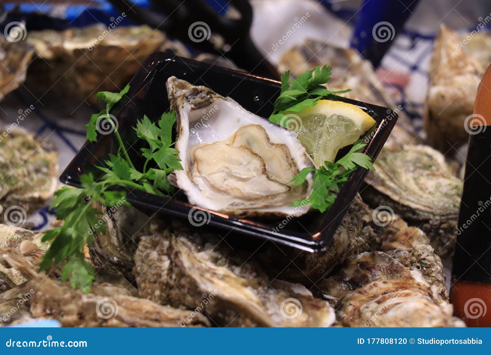 Big fresh oysters stock photo. Image of supermarket 177808120