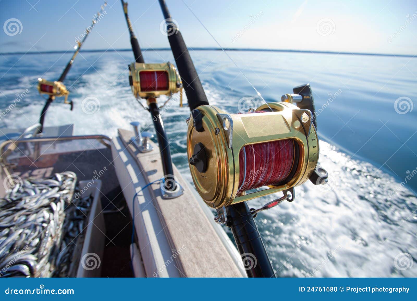 2,700+ Big Game Fishing Stock Photos, Pictures & Royalty-Free Images -  iStock