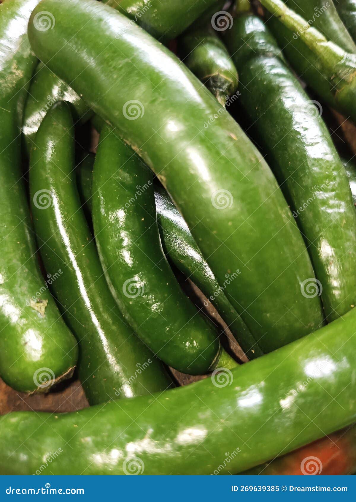 Big Green Chilies are Delicious and Spicy in Taste Stock Image Image