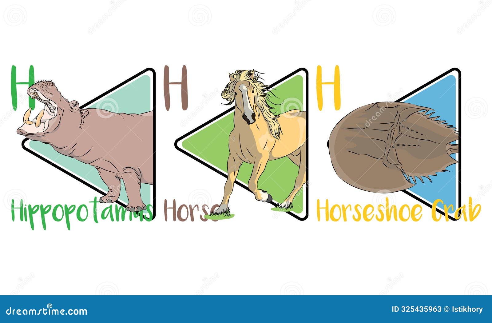 the big hippopotamus, the fast horse and the fossil horseshoe crab.
