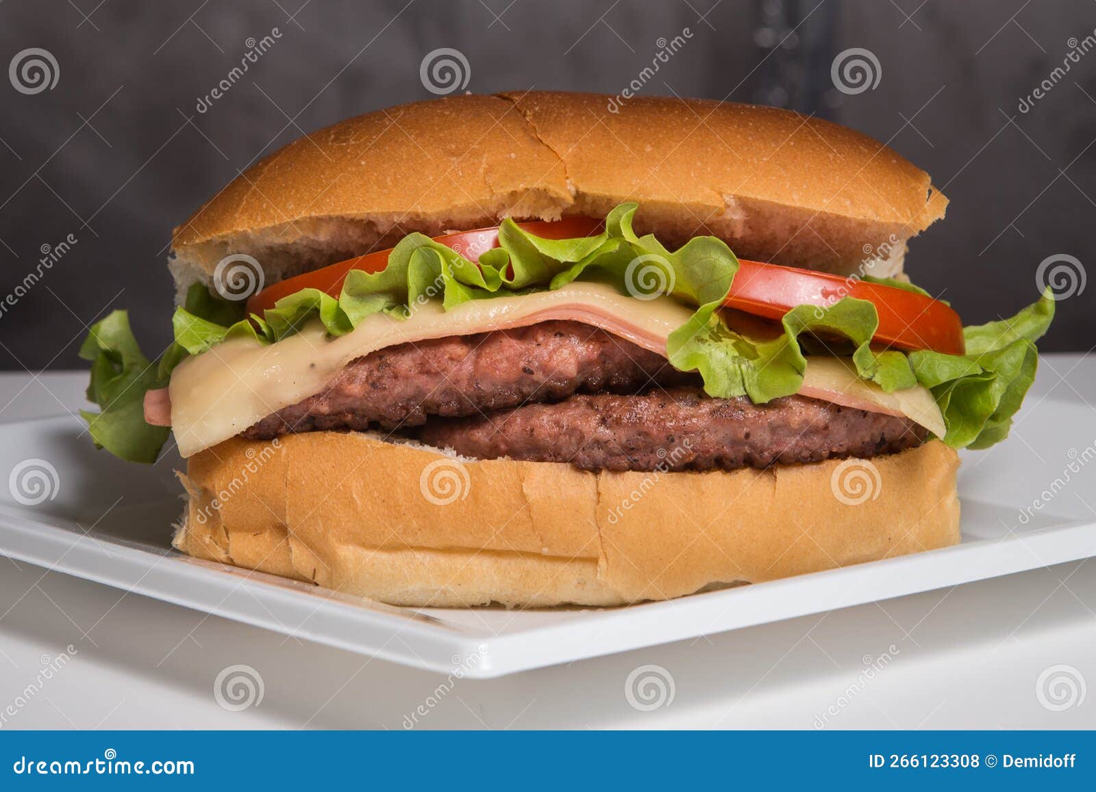 Big hot dog stock photo. Image of bread, party, food 266123308