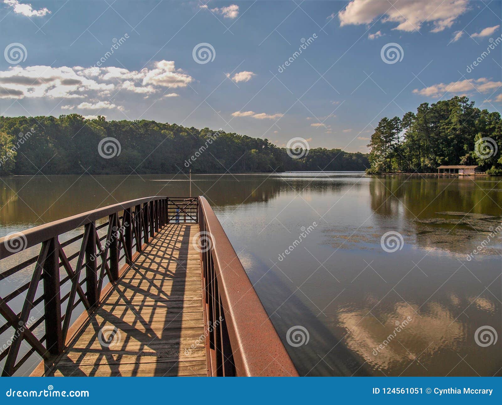 Big Lake at William B. Umstead State Park Stock Image - Image of