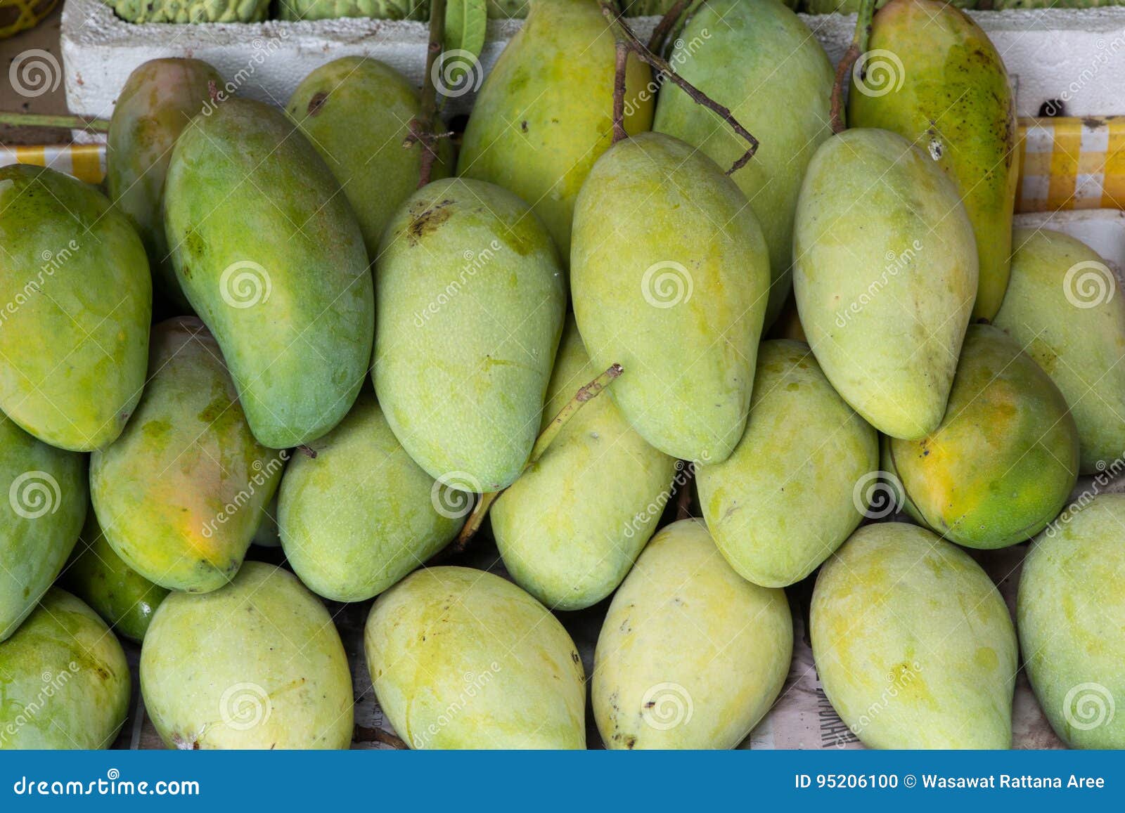 Biggest mangos on the camera